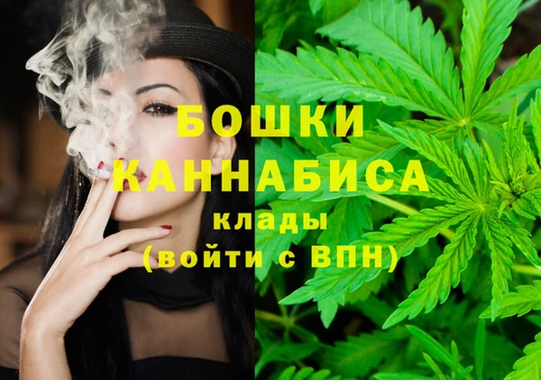 не бодяженный Дмитриев