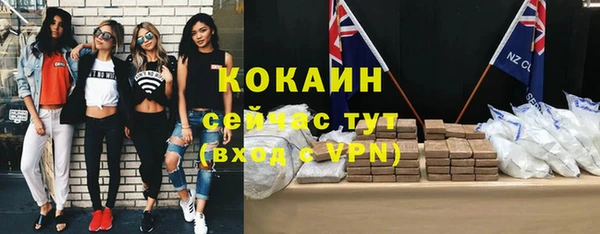 не бодяженный Дмитриев