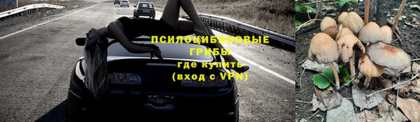 не бодяженный Дмитриев