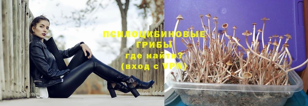 не бодяженный Дмитриев
