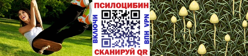 Галлюциногенные грибы Psilocybine cubensis  купить   Зея 